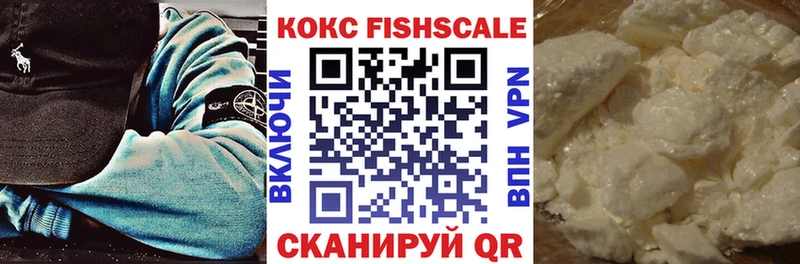 кракен Сураж Кокаин Fish Scale