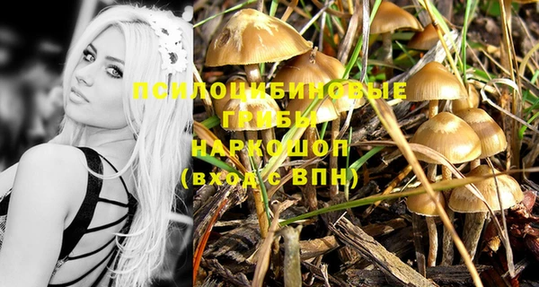 бошки Арсеньев
